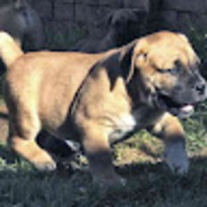 Meet your Posher, Jt